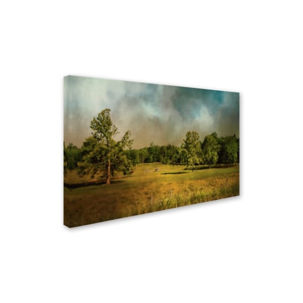 Jai Johnson 'Tennessee Countryside' Canvas Art,12x19